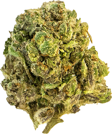 Mag Landrace image 1